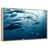 Floating Frame Natural Wood