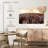 Nicci Sydney Sunset-111833785