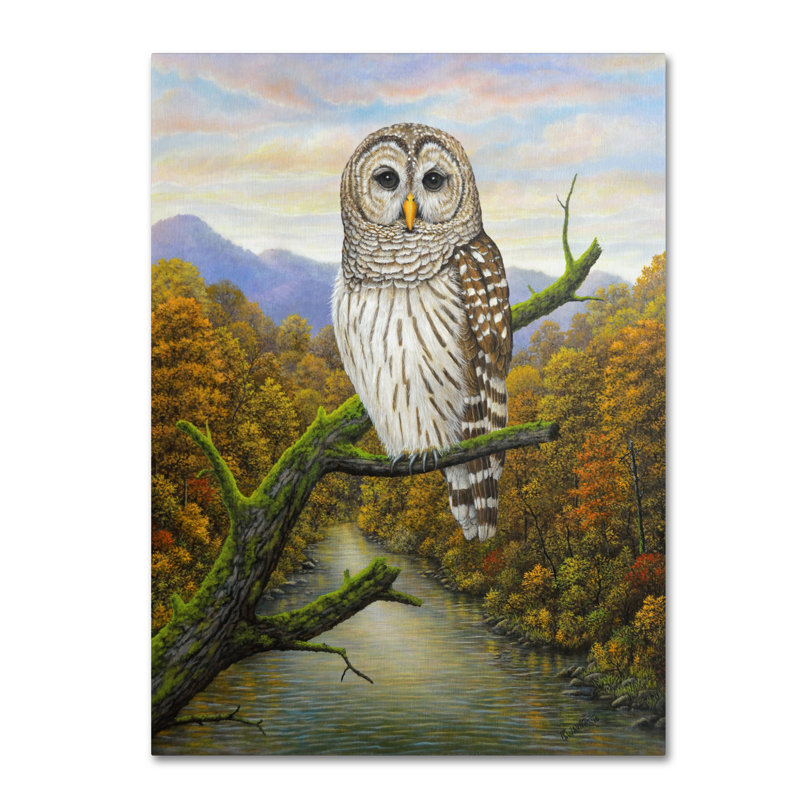 « barred hibou », reproduction d’impression sur toile tendue, H 24 po x l 18 po x P 2 po