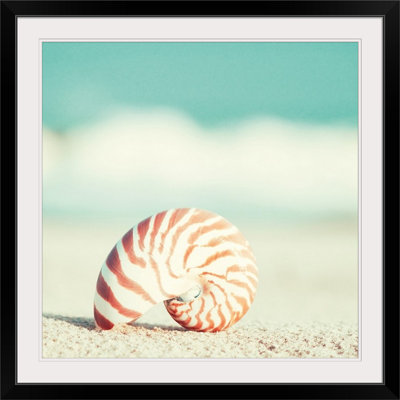 Matta " Nautilus " by Carolyn Cochrane