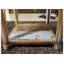 Fable Solid Wood Four Leg Coffee Table