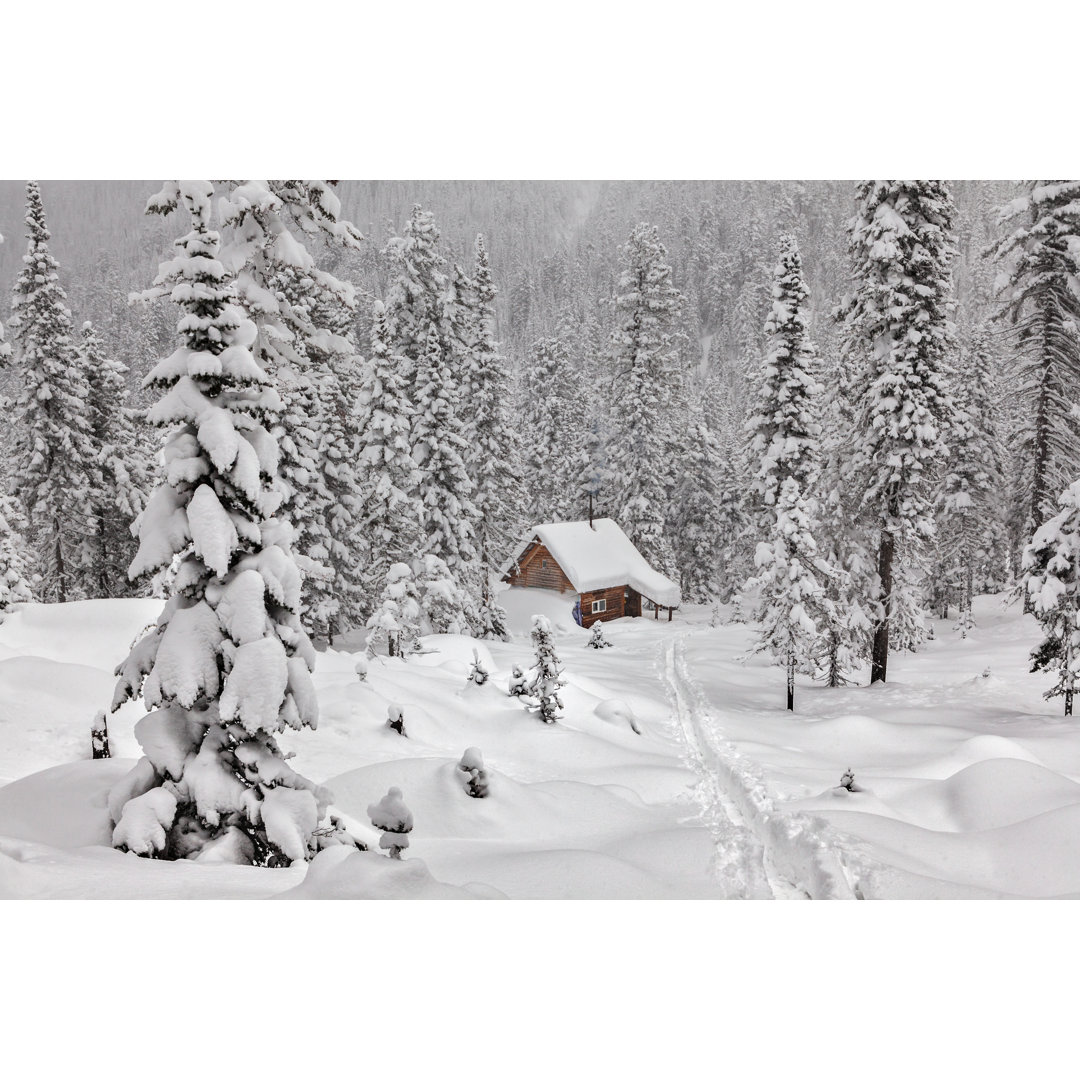 Cottage Snowy Forest - Wrapped Canvas Print Millwood Pines 