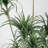 108'' Faux Pine Tree in Pot