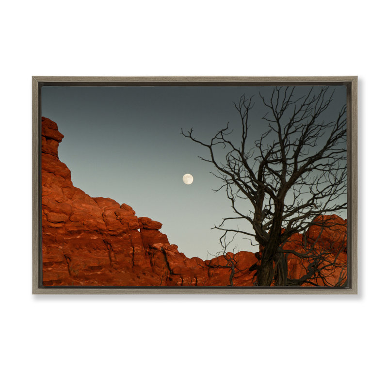 «Full Moon Canyon», photographie par Jadei, H 21 po x l 31 po, Cadre flottant orme Montalcino
