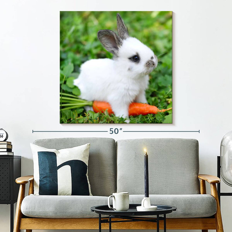 Crowle Baby Rabbit With Carrot