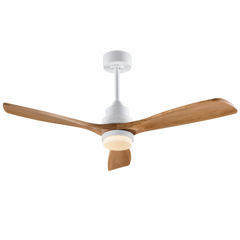 Ventilateur de plafond moderne avec moteur à courant continu réversible à télécommande à 3 pales à intensité variable 3 couleurs
