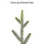 7.5' Pre-lit Miracle Shape Alberta Spruce Artificial Christmas Tree