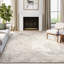 Tapis abstrait gris Abani Zebulon Bea120A-1243885197