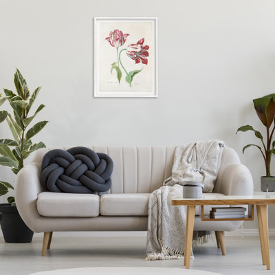 Classic Tulip Study Framed Giclee Art by Jacob Marrel