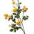 Yellow est en rupture de stock