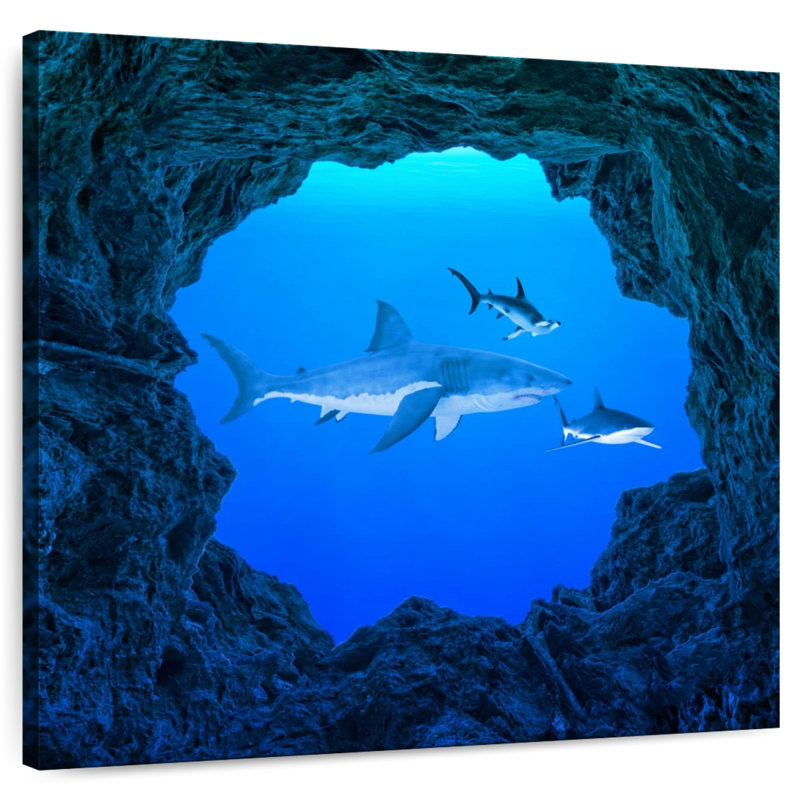 Brampt Sharks Ocean Hole, 39" H x 39" W
