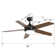 Ceiling Fan with LED Lights