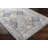 Oriental Indoor Rug-62185525