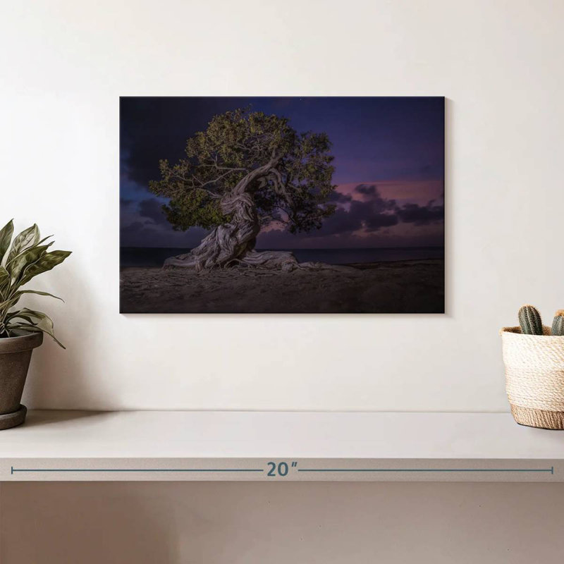 Arbre Gillard Aruba Divi Divi la nuit, H 8 po x l 12 po