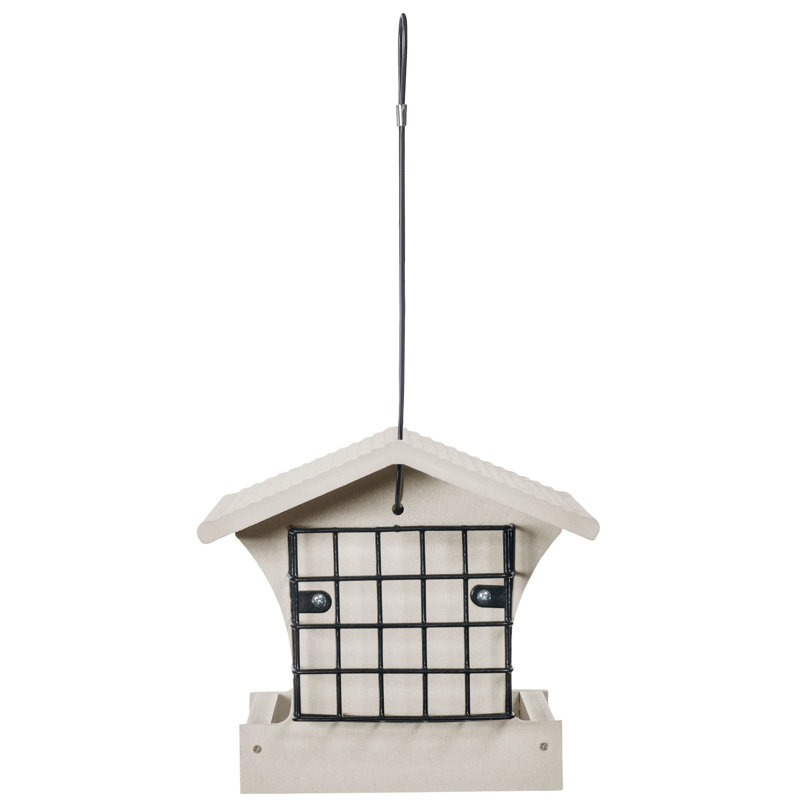 Medium Hopper Bird Feeder with Suet Cages in Green Recycled Plastic, 8" H x 8.75" W x 13" D