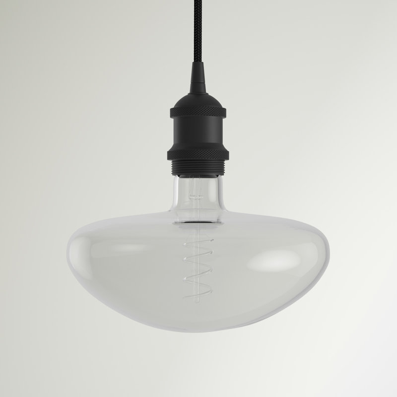 Luminaire suspendu à 1 lumière Waterville, Noir mat