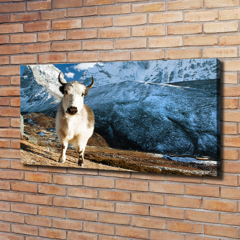 Yak Mountains - Wrapped Canvas Art Prints