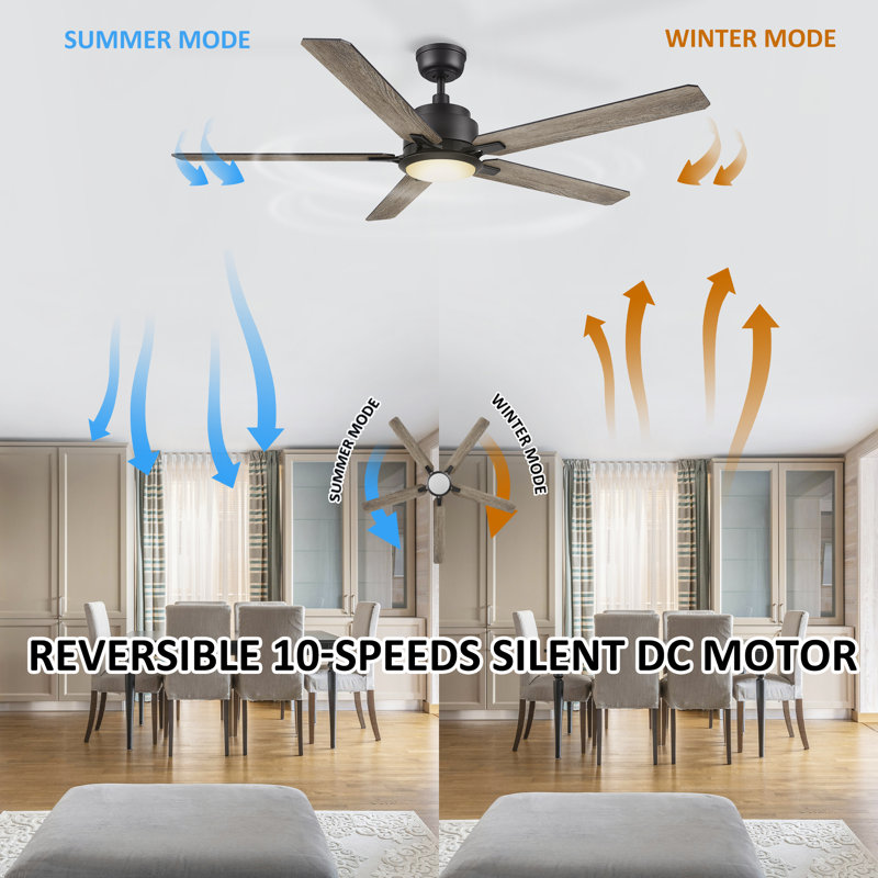 56'' Ceiling Fan with LED Lights, Dark Walnut/Gray Oak