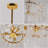 23.6" 6-Light Modern Gold Double-Layer Glass Chandelier