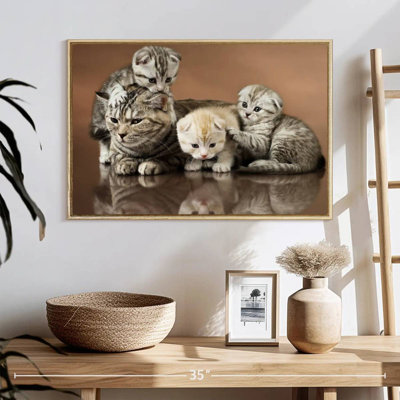 Cat Family