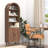 Arched Bookshelf With Storage, 6-Tier Cabinet Bookcase With Doors And Open Display Shelves, Walnut