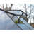 Palram - Canopia Hybrid 6' W x 10' D Walk-In Hobby Polycarbonate Aluminum Frame Greenhouse Kit with Roof Vent - Gray-356792576-314629672