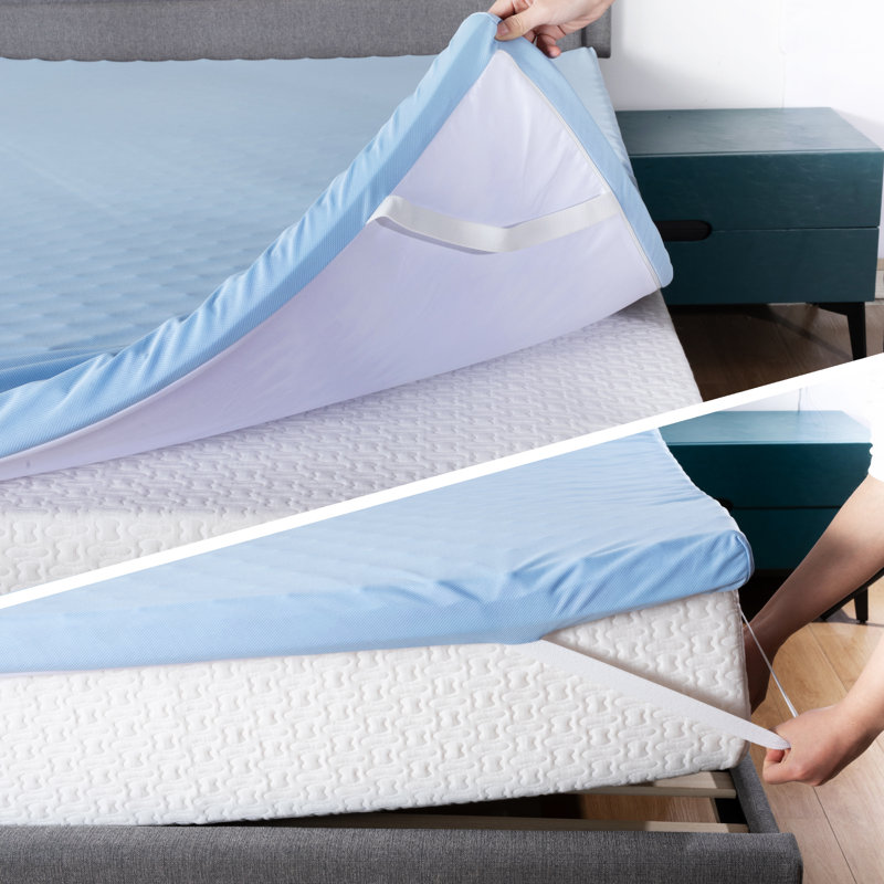 Randlett Alwyn Home 3" Plush Memory Foam Mattress Topper with Breathable Cover, Queen
