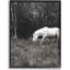 Photographie de cadre photo sur panneau de fibres à densité moyenne-1962974980-1962974985
