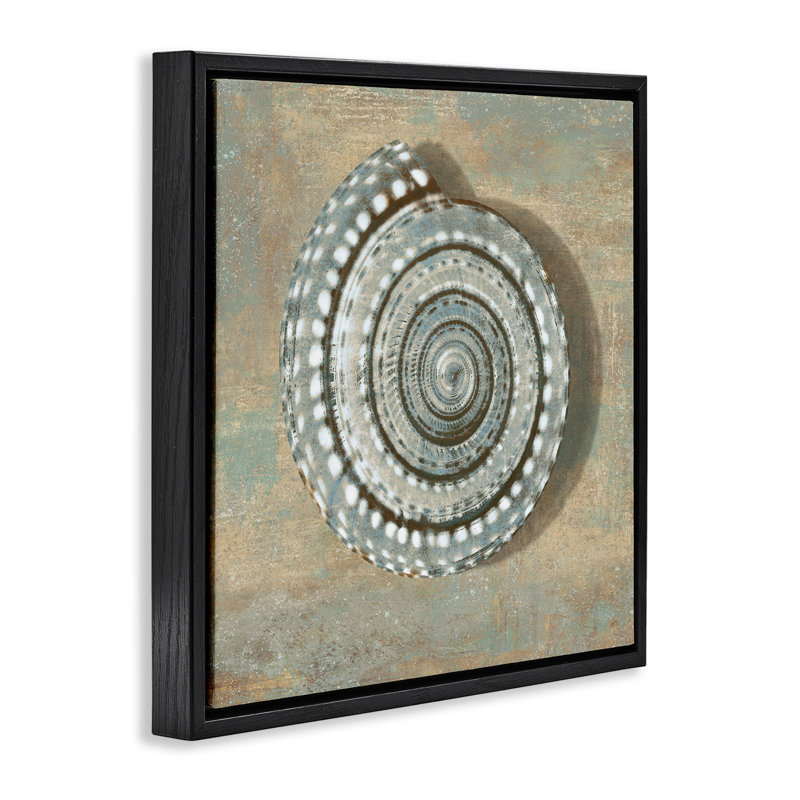 «Spiral Shell Beach Beach» par Christy McKee, Cadre flottant noir de jais, H 18 po x l 18 po