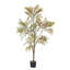 Plante de bambou 70 po