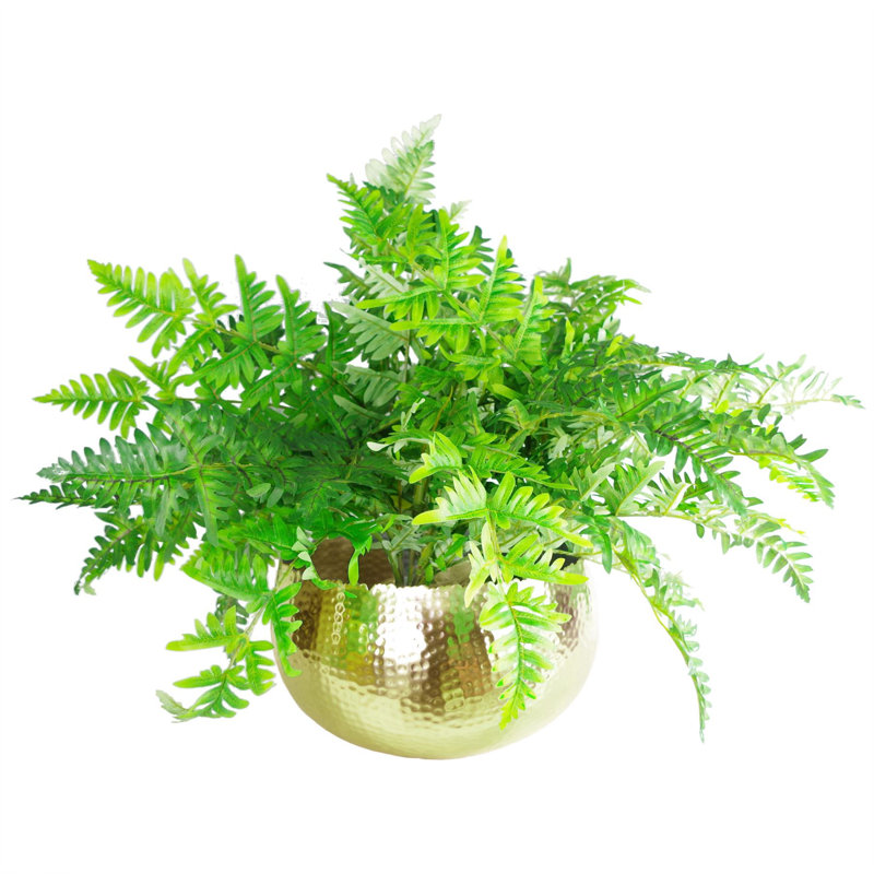 Steen Handmade Metal Cachepot, Gold, 20 cm H x 30 cm W x 30 cm D