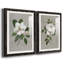 Magnolia botanique - ensemble de 2 reproductions d'art-866272719-866272705-866272718