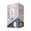 8 watts (60 watts équivalents), ST18 DEL, ampoule intelligente à intensité non variable, E26 réglable / base moyenne (standard)
