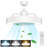 Lafleur 23'' Ceiling Fan with LED Lights