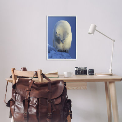 Contemplation Polar Bear Giclee Art by Shane Lamb