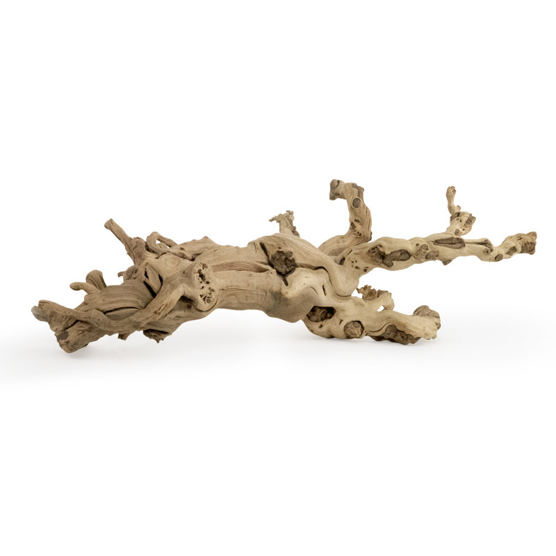 Aquilar Landscape & Nature Figurines & Sculptures, 10" H x 18" W x 10" D