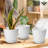 6 inch Plant Pots 5 Pack-846098987