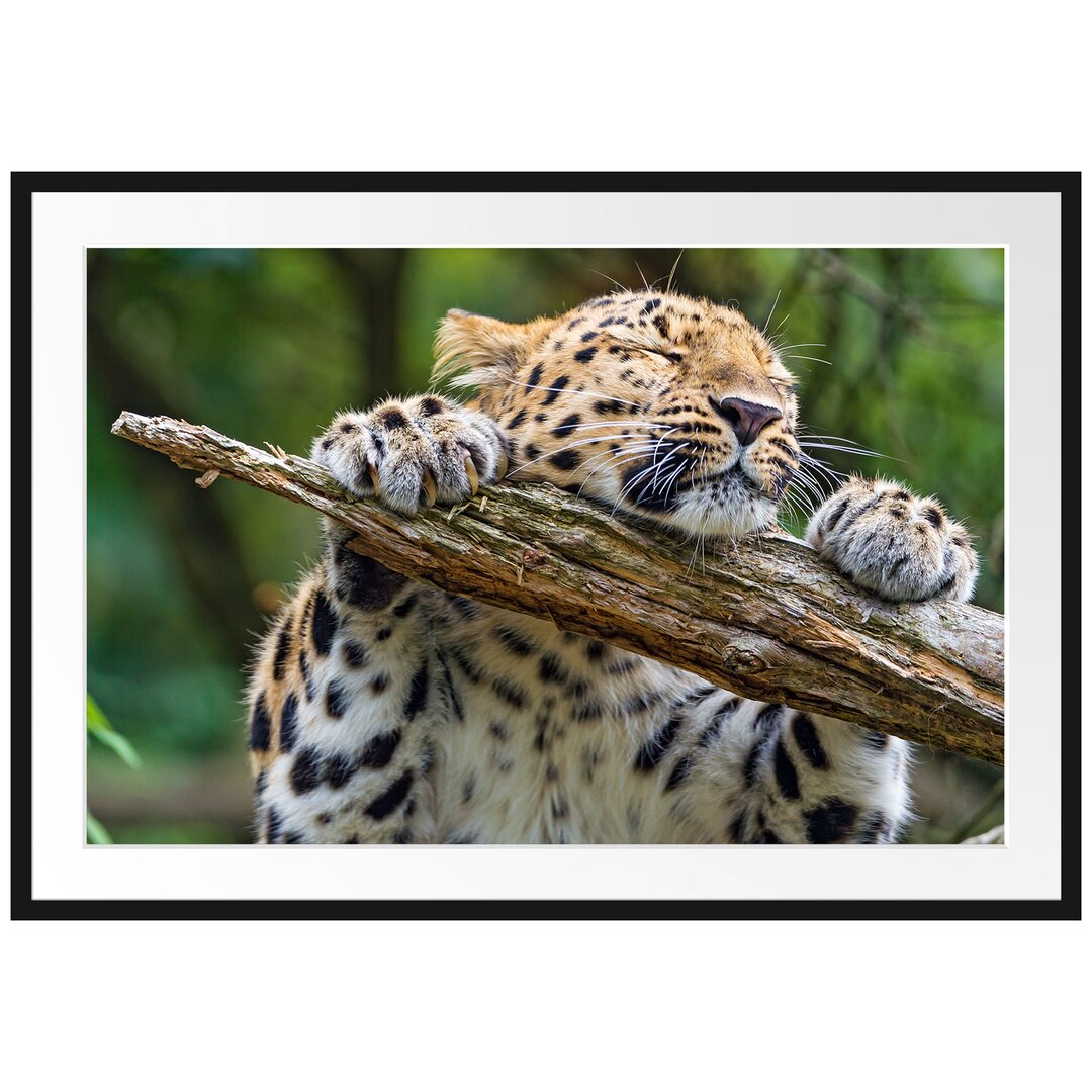 Gerahmtes Poster Verspielter Leopard