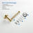 Wall Mount Toilet Paper Holder-116826308