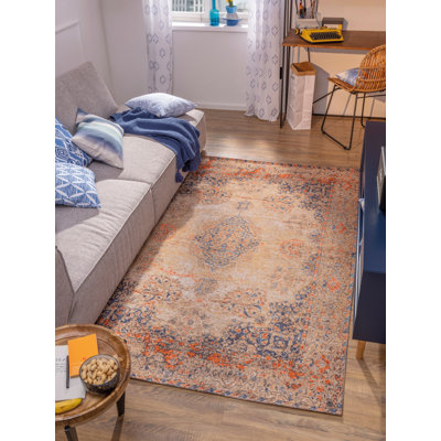 Oriental Hand Woven Indoor / Outdoor Area Rug