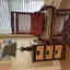 Photos des clients 1 de 2