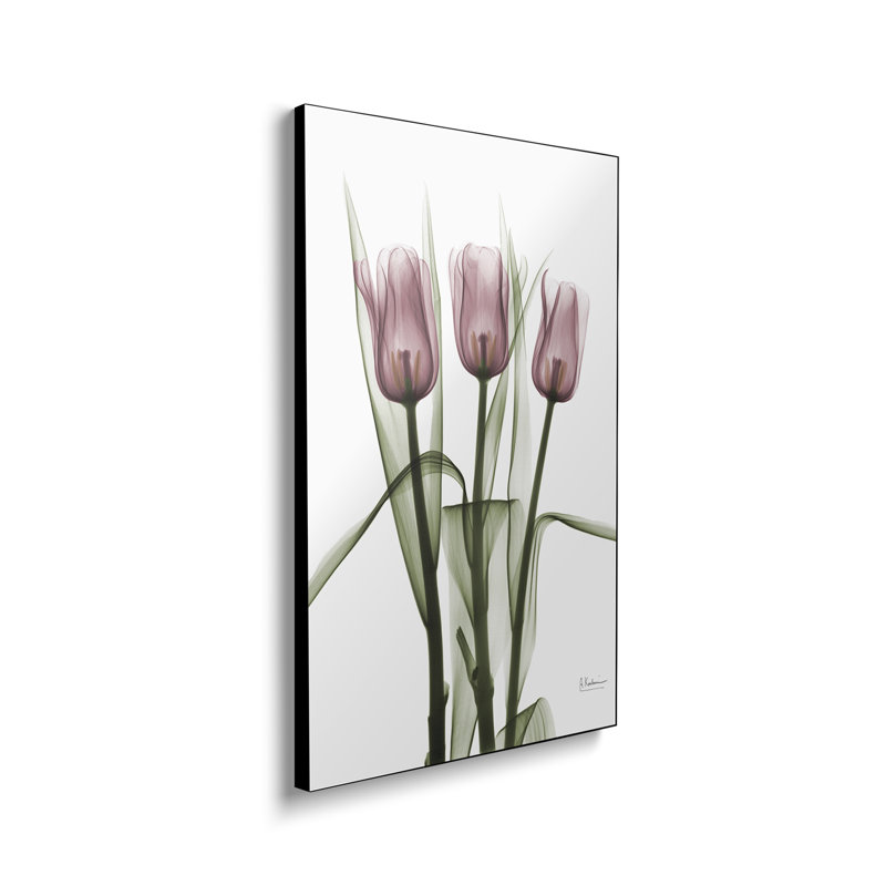 Reproduction d'art mural sur toile en métal Steemplix - Tulipes II par Albert Koetsier