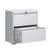 2 Drawer Lateral File Cabinet with Lock - Secure, Spacious Steel Filing Cabinet for Home Office, Letter/Legal/F4/A4 Files-103532501