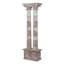 Double Pillar Architectural Relic