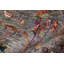 Hand Woven Oriental Area Rug