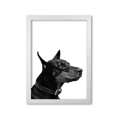 Dog - Print