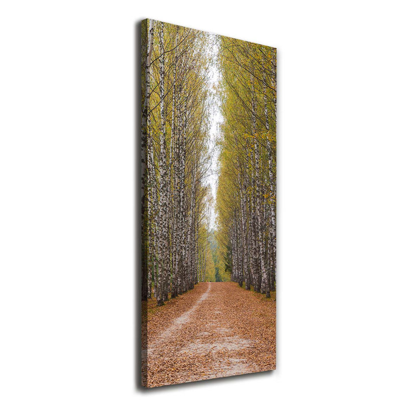 Birch Forest - Wrapped Canvas Print