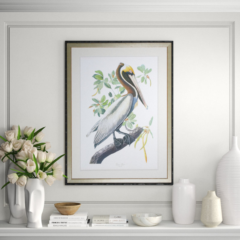 Pelican Print by Audubon