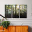 Lumière et arbres - ensemble de 3 photographies sur toile tendue-484443731