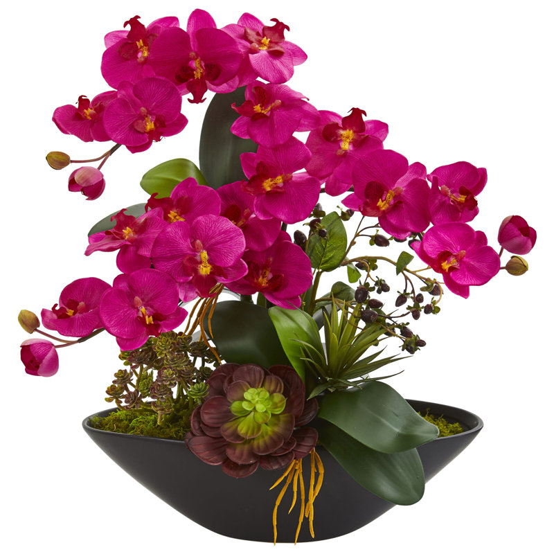 Arrangement floral succulent de Phalaenopsis dans un vase, Rose